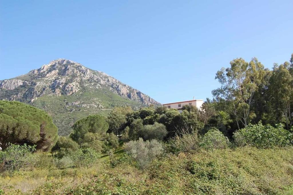 Taddore Green Lodge Galtellì Eksteriør bilde