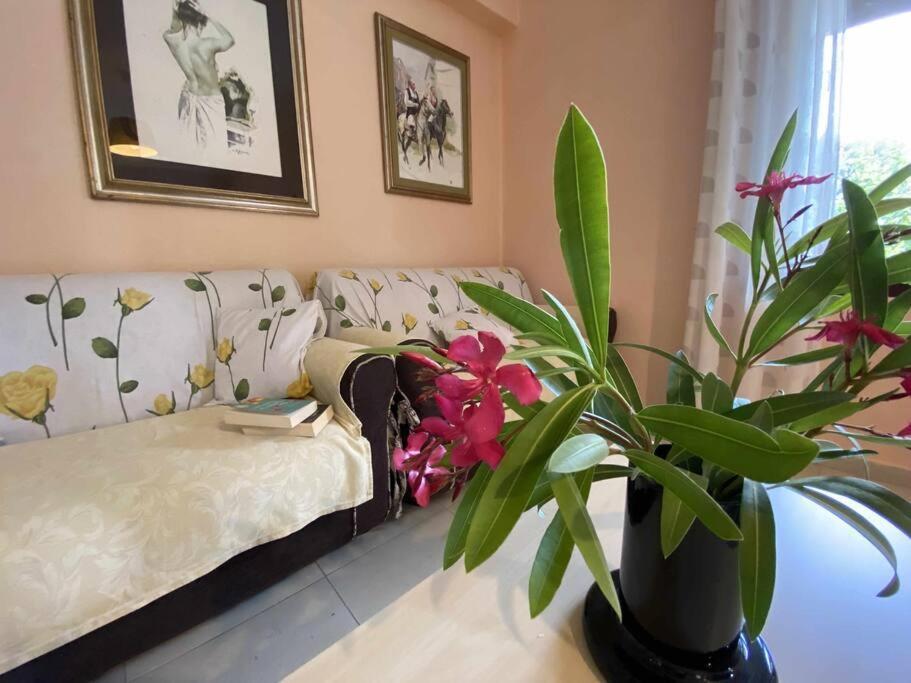 Taddore Green Lodge Galtellì Eksteriør bilde