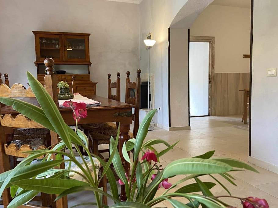 Taddore Green Lodge Galtellì Eksteriør bilde